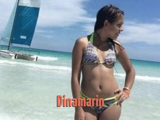 Dinamarin
