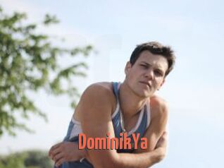 DominikYa