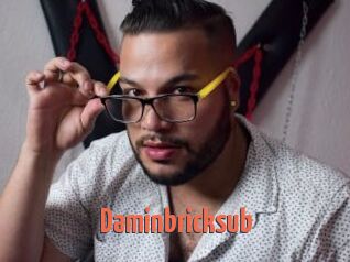 Daminbricksub