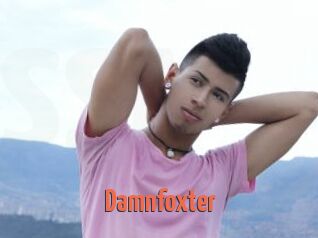 Damnfoxter