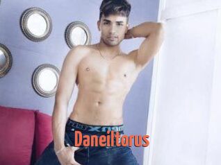 Daneil_torus