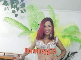 Darwinsyg23