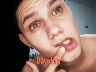 David_sk