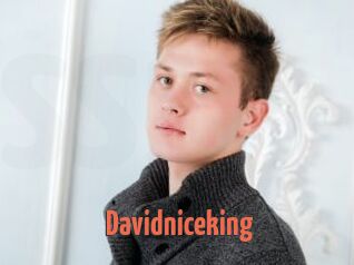 Davidniceking