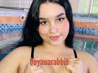 Dayanarabbit