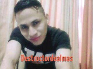 Destructordealmas