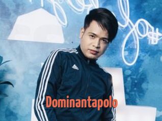 Dominantapolo