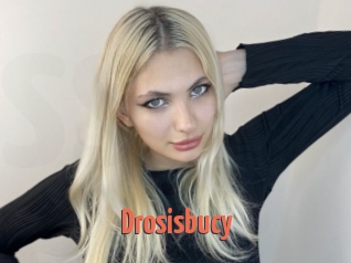 Drosisbucy
