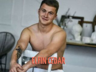 ELFIN_CEDAR