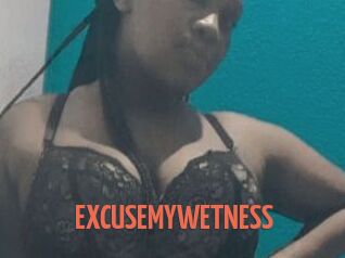 EXCUSEMYWETNESS