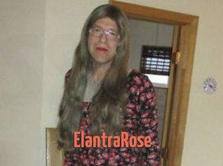Elantra_Rose