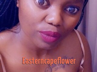 Easterncapeflower