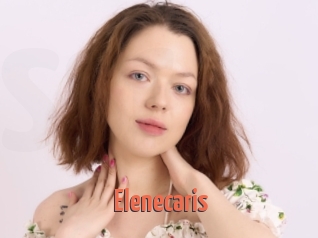 Elenecaris
