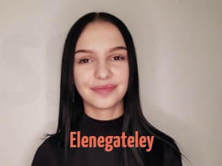 Elenegateley
