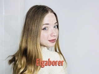 Elgaborer