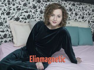 Elinmagnetic
