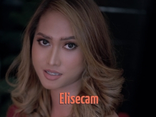 Elisecam