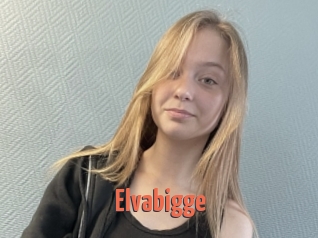 Elvabigge
