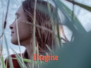 Elvagrise