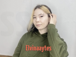 Elvinaaytes