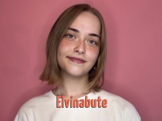 Elvinabute