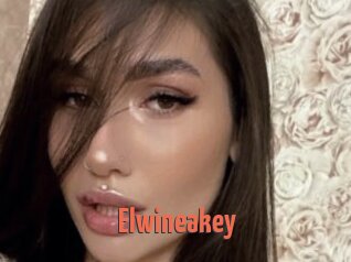 Elwineakey