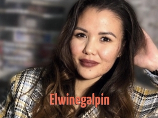Elwinegalpin