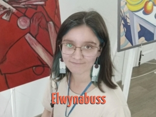 Elwynabuss
