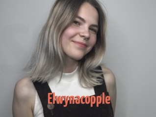 Elwynacopple