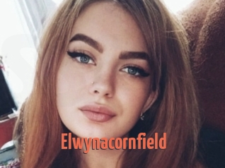 Elwynacornfield