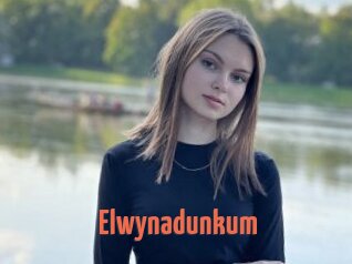 Elwynadunkum