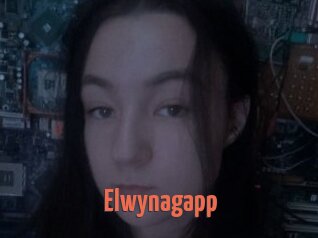Elwynagapp