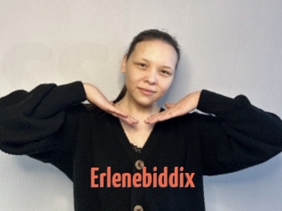 Erlenebiddix