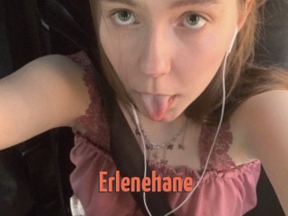 Erlenehane