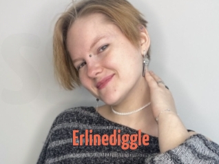 Erlinediggle