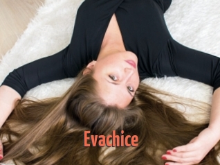 Evachice