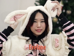 Evelane