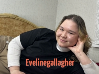 Evelinegallagher