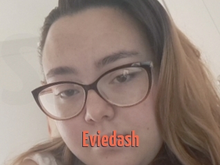 Eviedash