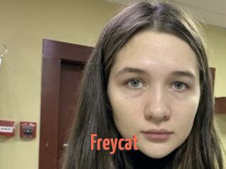 Freycat