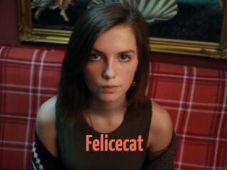 Felicecat