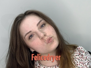 Felicedryer