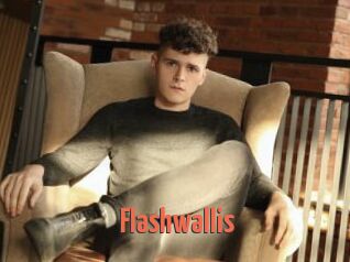 Flashwallis