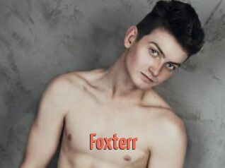 Foxterr