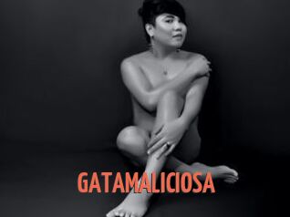 GATAMALICIOSA