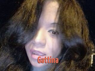 Gattina