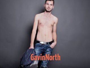 GavinNorth