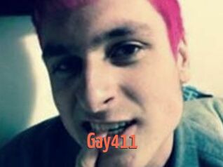 Gay411