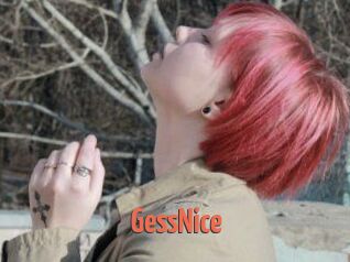 GessNice