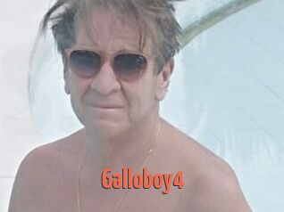 Galloboy4